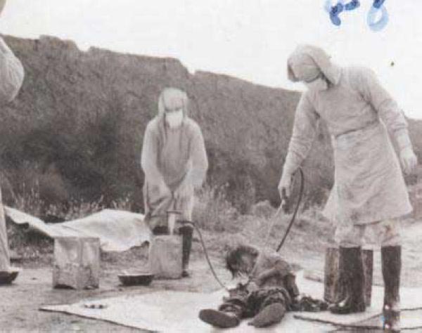 Electric Shock Experiments